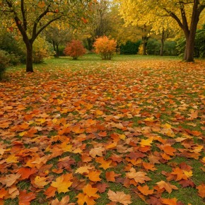Почему оставлять листву в саду — мудрое решение