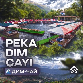 ���-���: ������� ��������� ������, ������ ����� ���������