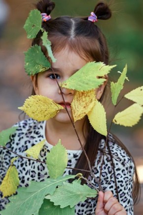 ���������� ����: ��� ���� �������� ���������� ������� ������