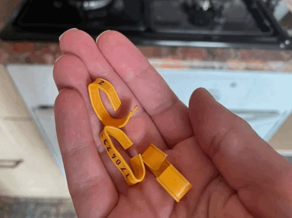 ������� ������ �� �����: ����� �������, ��� ������ ���������