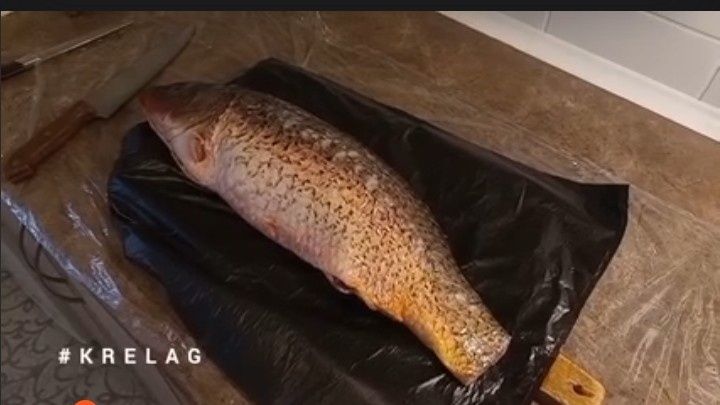 ����� � �������� ����� � ����������� � ���������� ������� �����