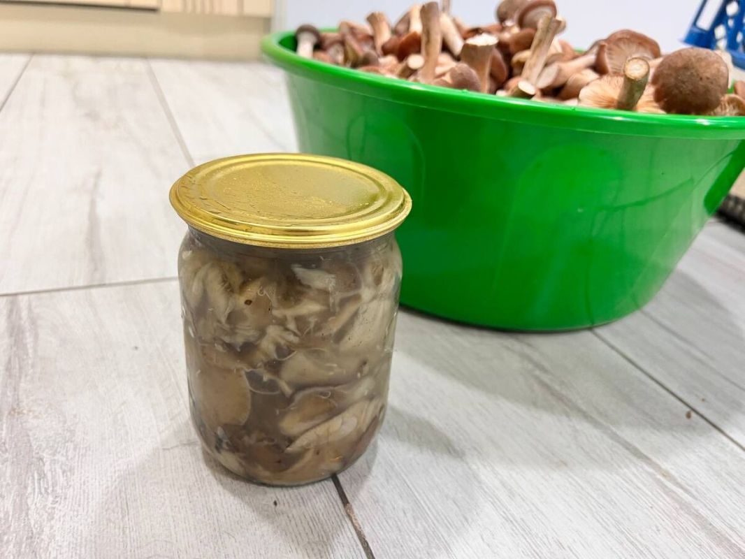 ��� ���������� ������� ����� �� ����