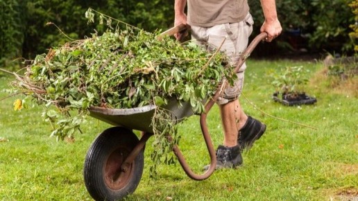 ��� ���������� �� �������� ������: ������ �������� �������