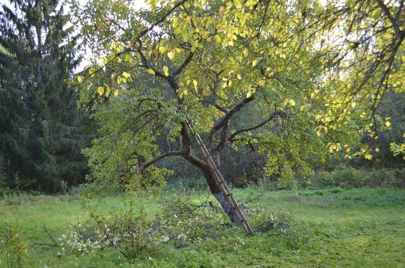 ��� ��������� �������� ������ ������ ������