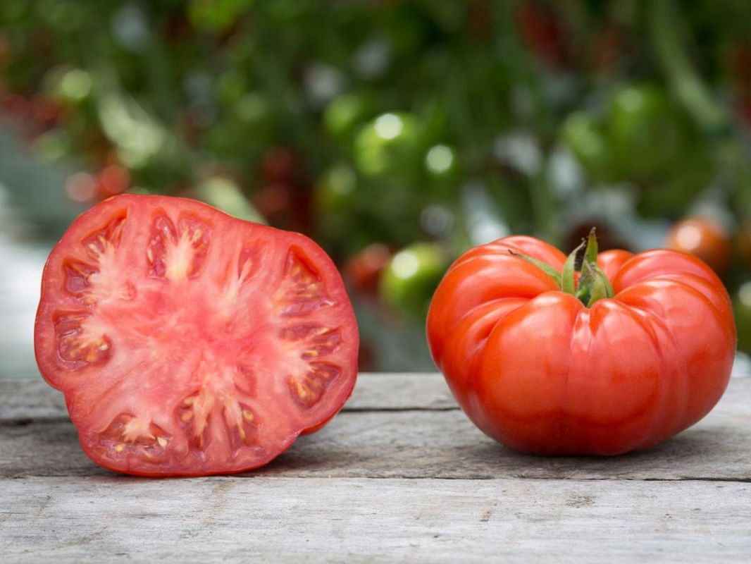 ��� ������ �������� ��������� �� ����� ������� ����� �����