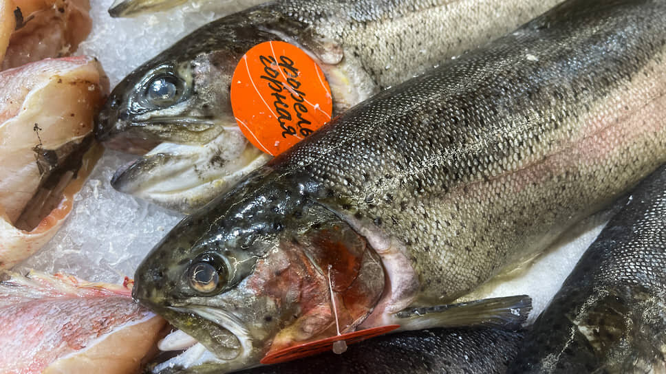 Цены на замороженную рыбу в Ростовской области достигли рекорда