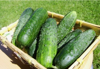 ����� �� ������� ������ ����� �������������?