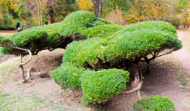 ������������ ��������: ���������� ����� ��� ������ ����