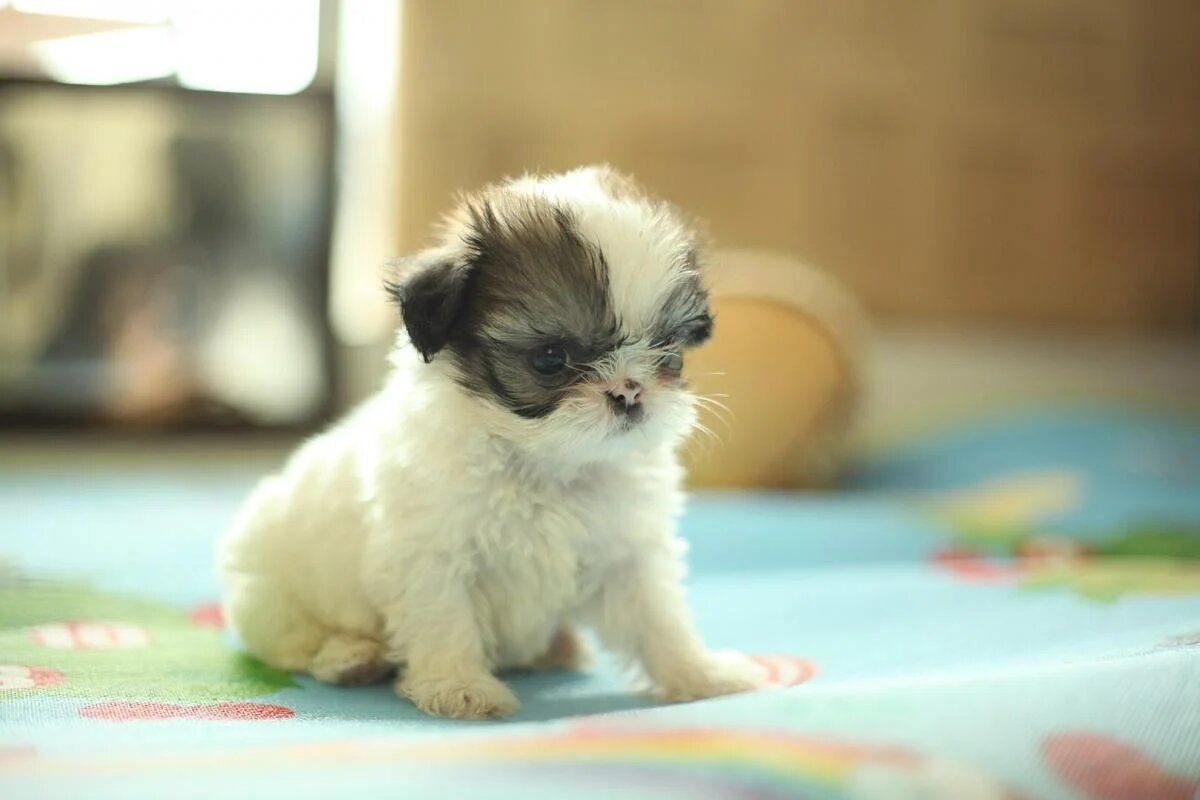 ������ ���������: 10 �������� ��������� ����� �����, ������� ����� ����� ���������