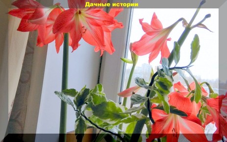 ������� ������������: ������� ����� � �����������