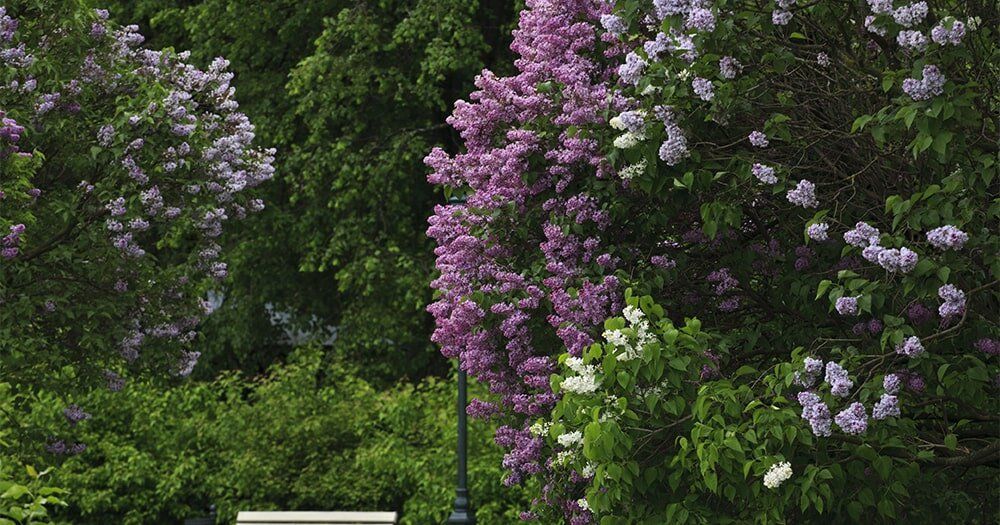 ��� ��������� �� �������: ������ � �������� ��� ������ ����