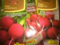 Секреты успешного осеннего посева редиса: когда и как это сделать