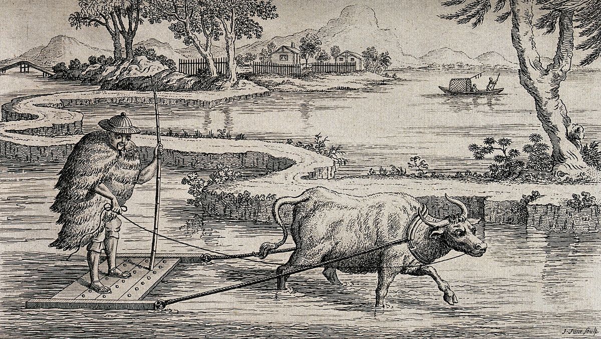 ���: ���� �� ���� �� �������