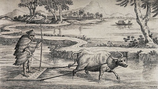 Рис: Путь от поля до тарелки