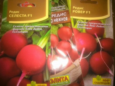 Секреты успешного осеннего посева редиса: когда и как это сделать