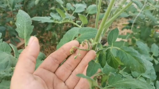 ��� �������� ������ ������: ������� ������� ������� � ����