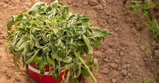 ����� ����� ����� ������: ��� ������� ������ ��������� ��� �������