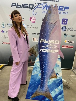 �������� ������� � ����������� ��������: ��� ���� ������ �� ��������