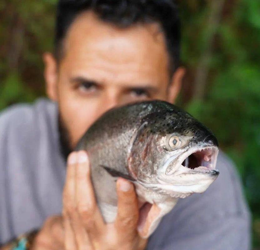 ��� ����������� ���� �� ��������� � ����