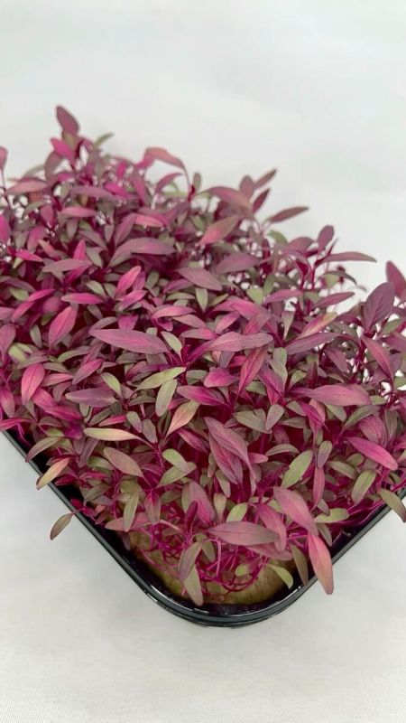 �������: ������� ������������� ��� �������� � �����