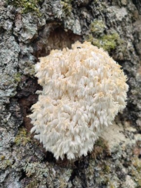 ���������� ��������� ������ ����� ������ ���������� ����