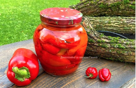 ������� ����� � �������� ��������: ������� ��������� ������ ���������