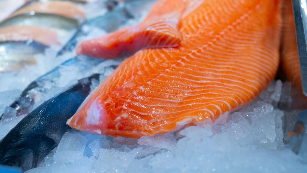 Россия обеспечена красной рыбой на Масленицу