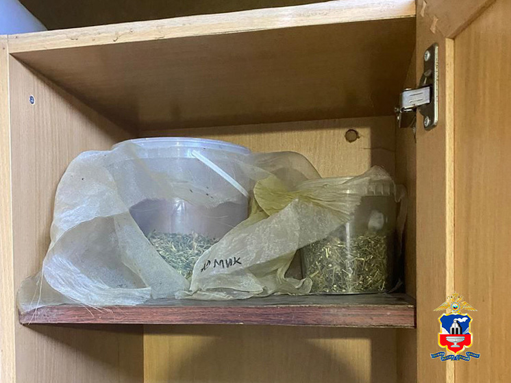 В Яровом обнаружили крупную партию дурман-травы у рецидивиста