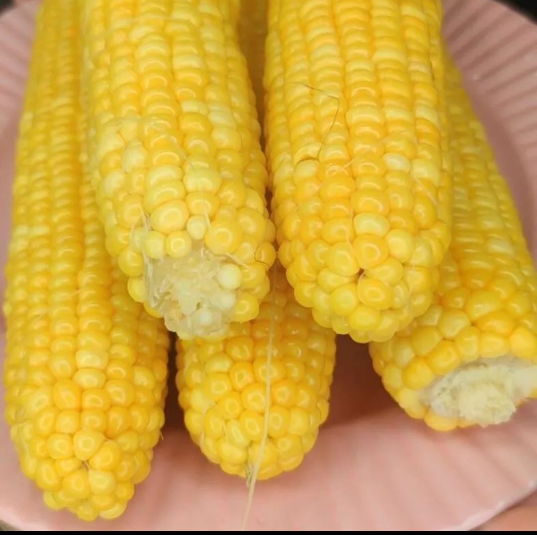 Как приготовить идеальную кукурузу: секреты и советы