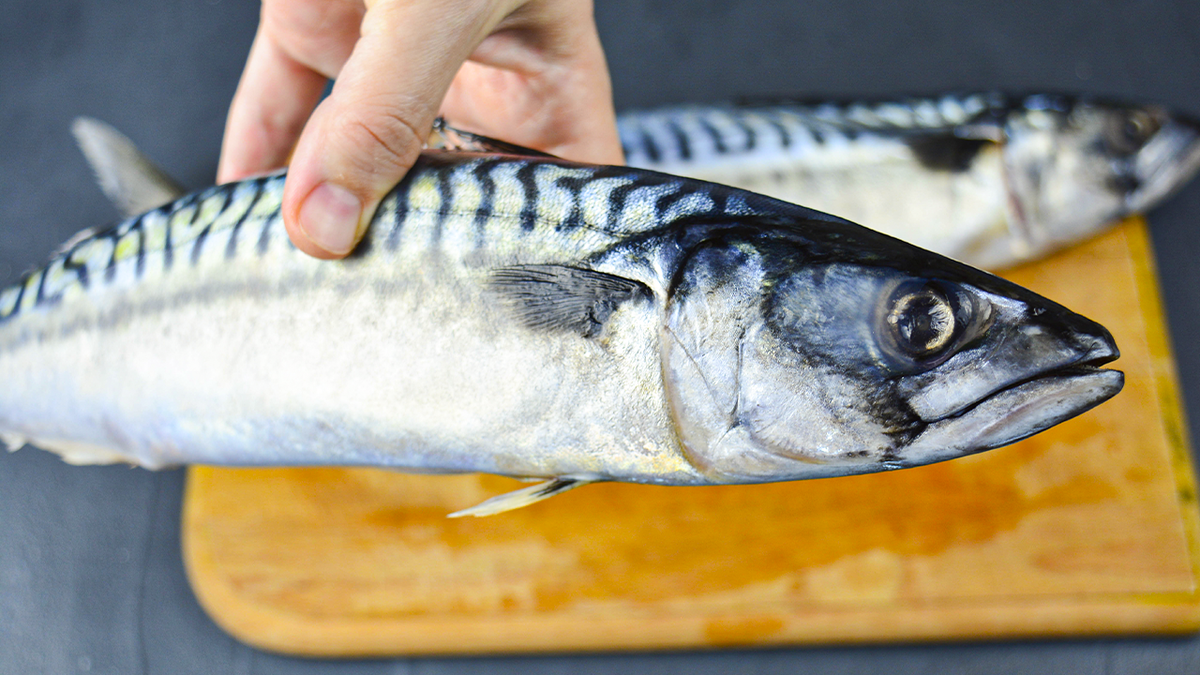 Пряная скумбрия: секреты идеального малосольного рецепта