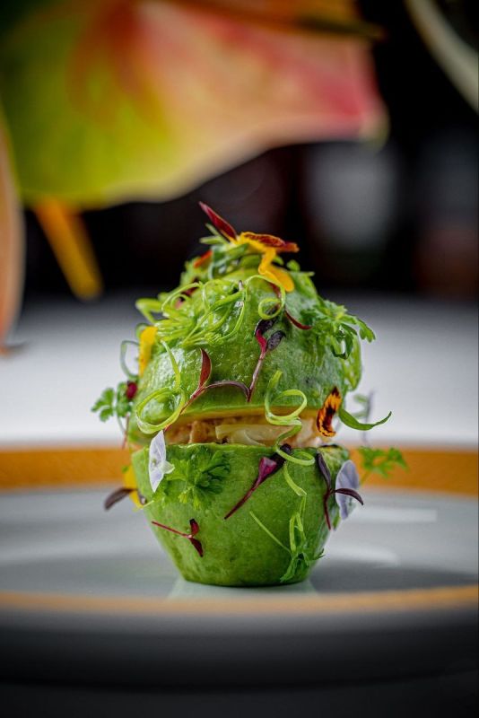 �������� ���� � ��������� Regent: ���������� ������ ��� ���������