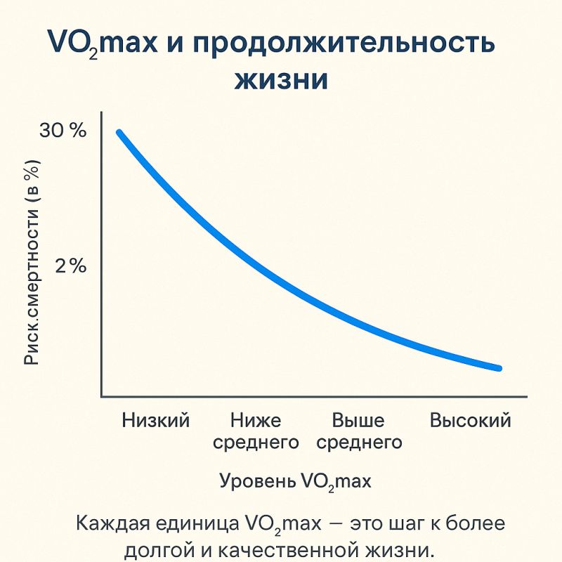 Что такое VO2 max и как он отражает состояние нашего организма