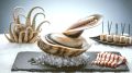 Уникальные морепродукты, которые удивят даже гурманов