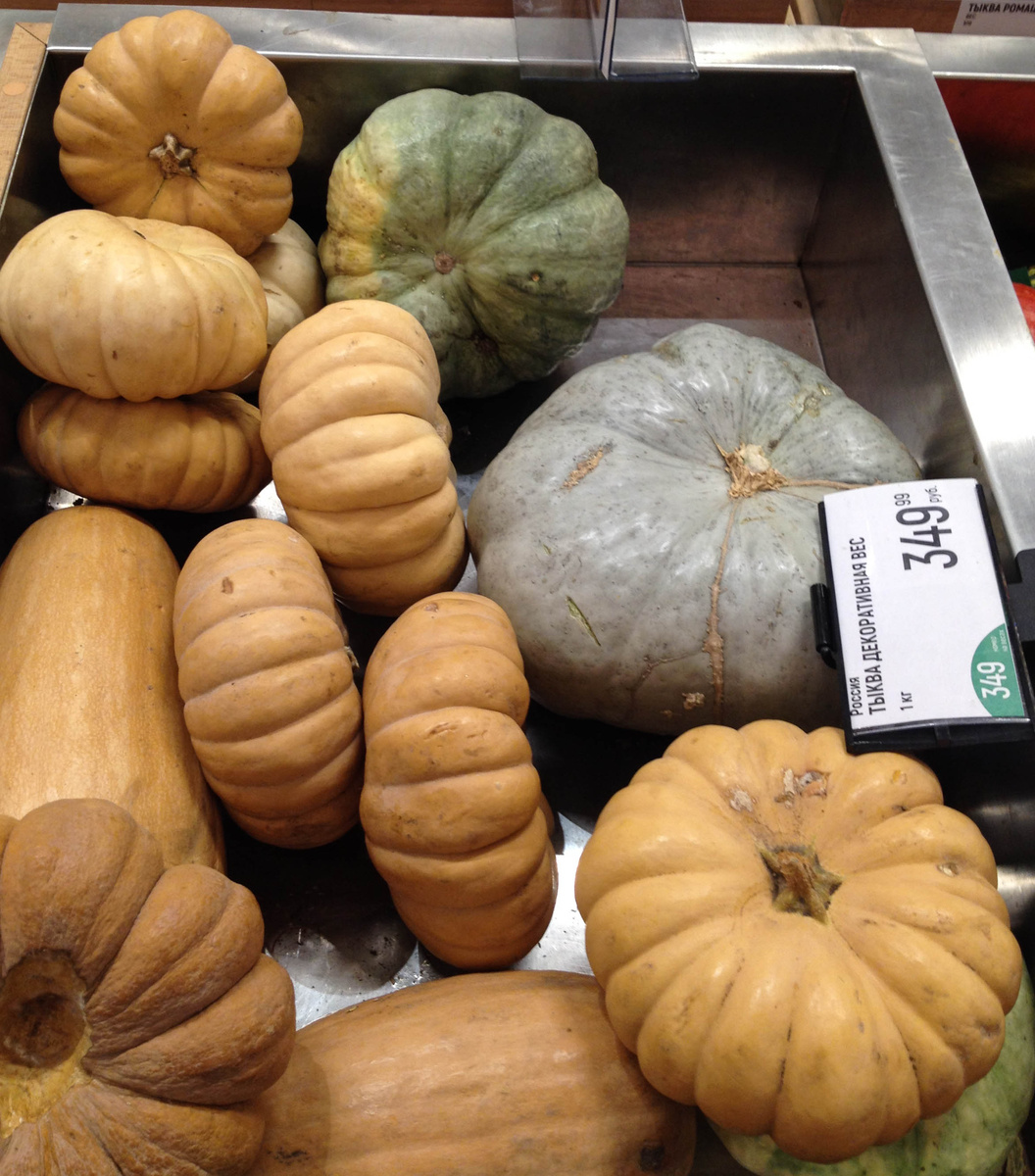 Тыквенная палитра: как выбрать и сколько стоит любимый овощ в Москве?