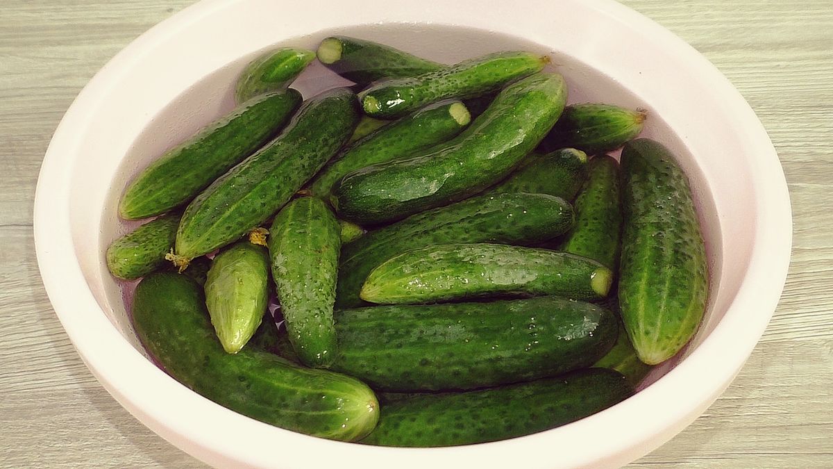 ��������� ������ �� ����: ������� ���������� ��������