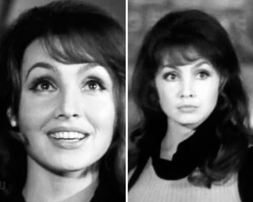 ������� �������: �� ���� �������� ���� � ��������������� �����