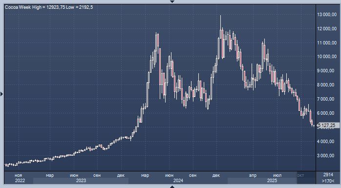 ���� �� ����� �������� 21-��������� �������� ��������� ���������� ��������� �� ���-�������