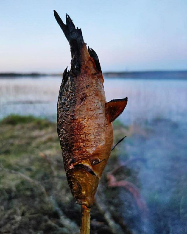 ��������� ������ ������������� ���� �� ������