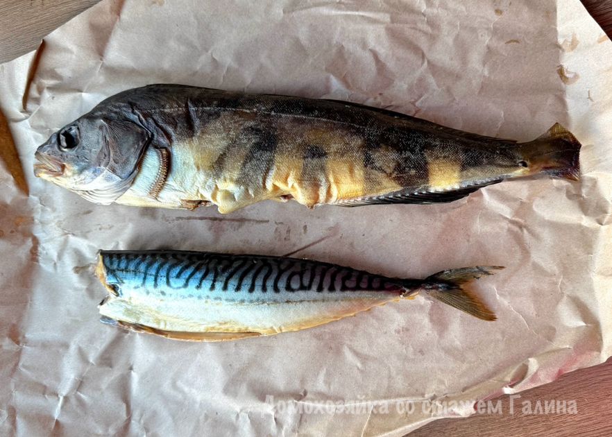 �������� �����: ������������ �������� ���� � ��������