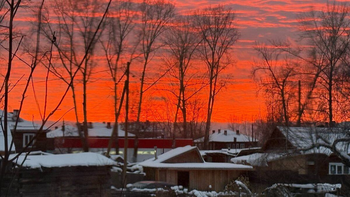 Секреты готовки свиной печени: как избежать жесткости