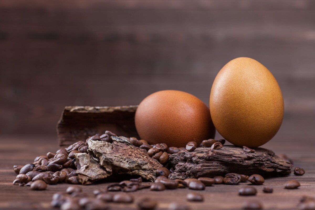 ���������� ����-���: ��� ������� ���� ����������� � ������� ����