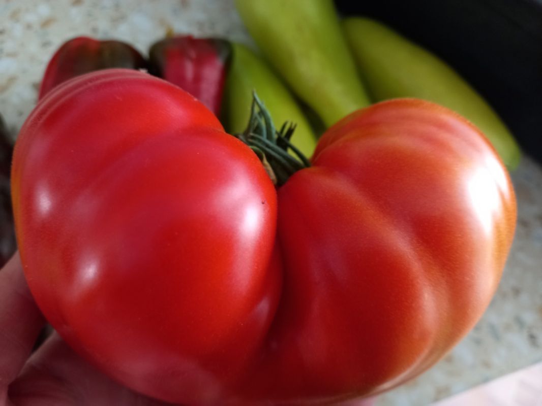 ��� ���������� ������� ��������� ��������� � ������ ����� ����������