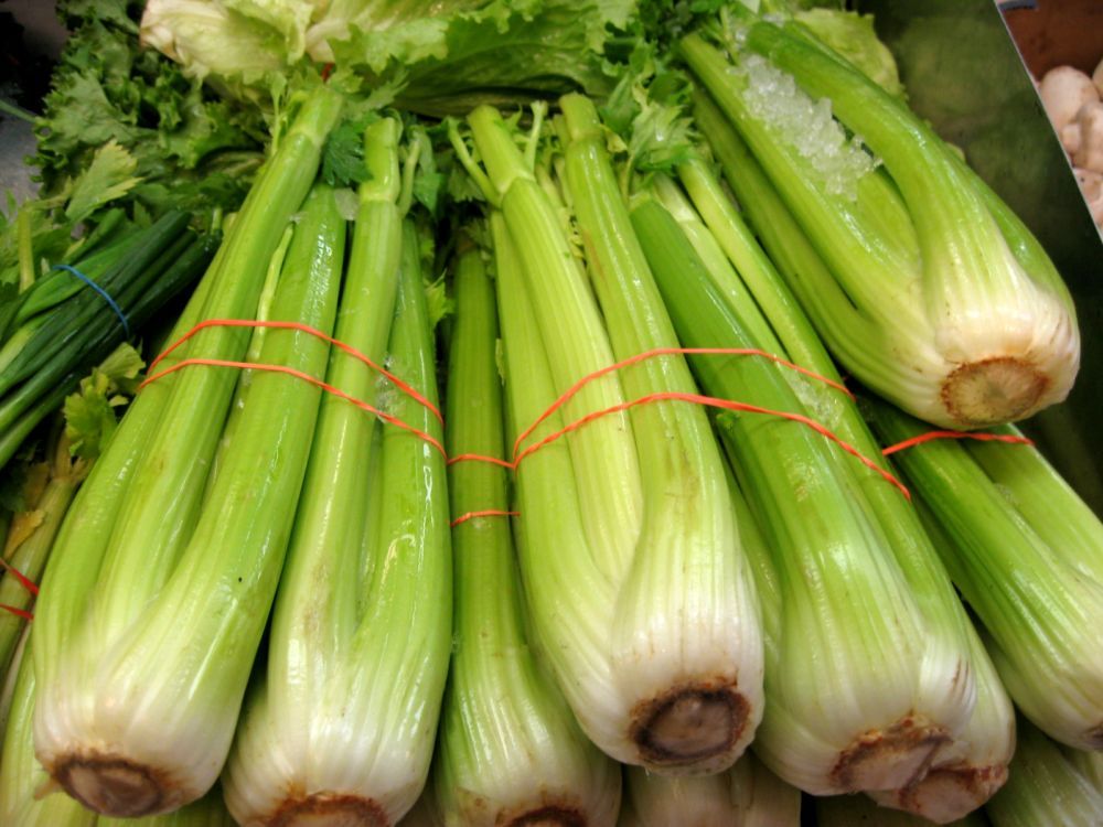 ���������: ������ �������� � ��������, ������� ����� �������� � ������