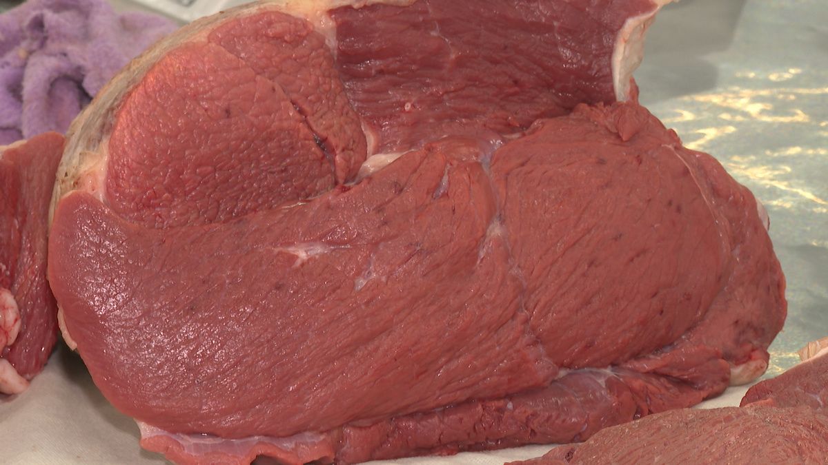 � ���� ������ �������� ������������ ��������: ��������� ����������� ��������