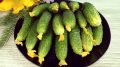 Необычные находки на Wildberries и быстрый рецепт хрустящих огурцов