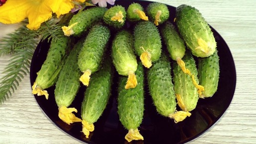 ��������� ������� �� Wildberries � ������� ������ ��������� �������