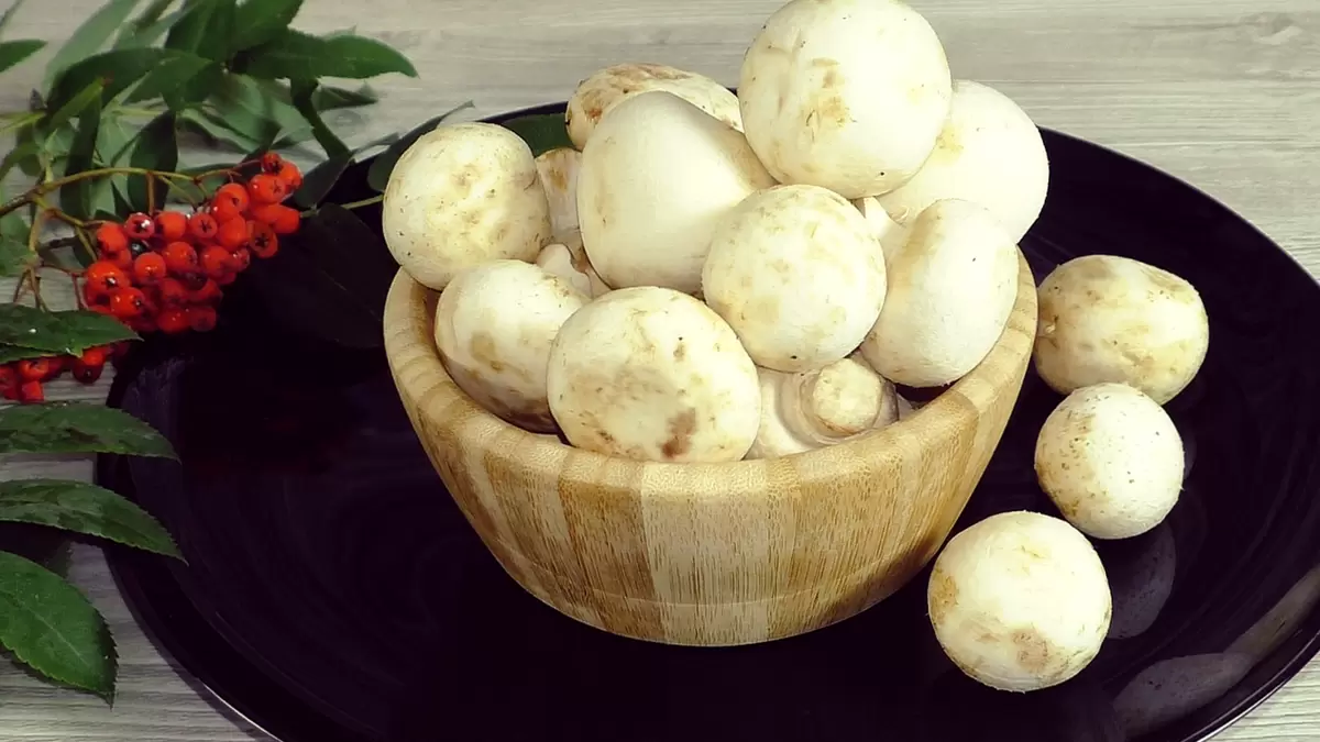 Шампиньоны с чесноком: быстро и вкусно за 20 минут