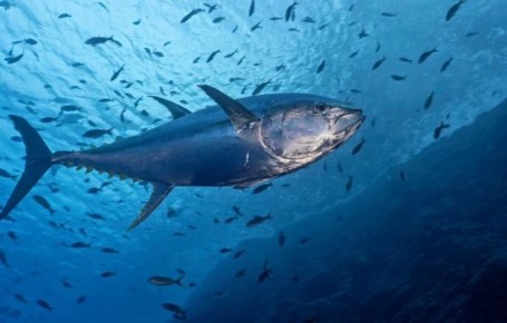 � ������ ������� ���������� ����� ����� ����� 400 ��