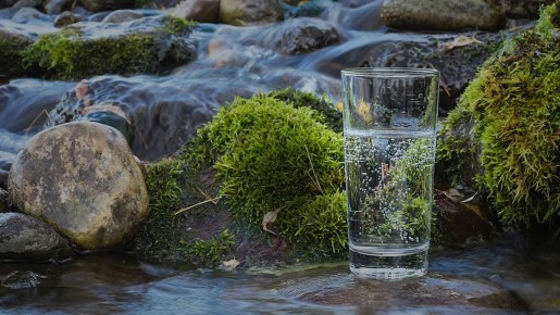 ����������� ����: ��� ����� ����� � �� ������ � �����