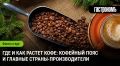 Кофейный пояс: от плантаций до вашей чашки